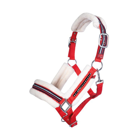 Head Collar Equine Sports Style Red