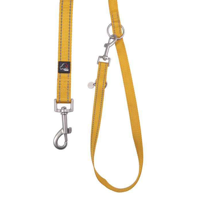Golden yellow leash