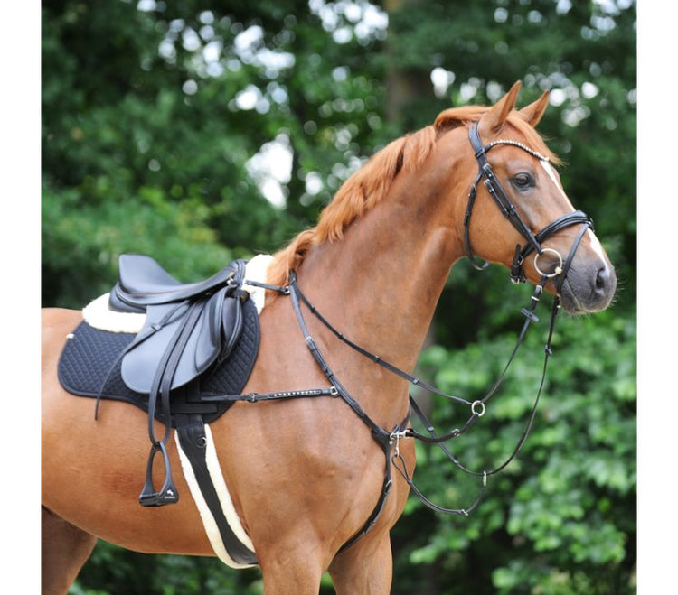 Kavalkade horse equipment online
