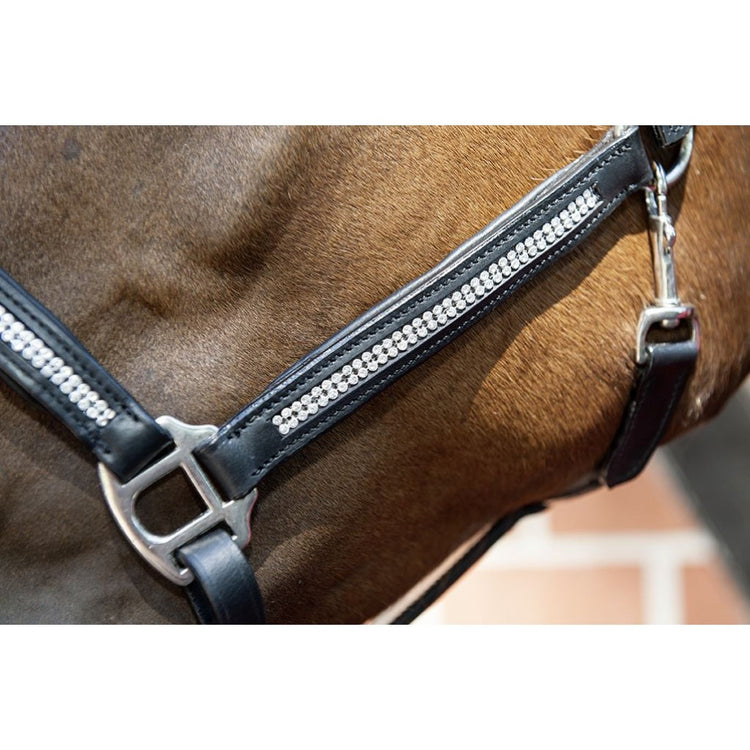 Black Leather halter with silver fittings