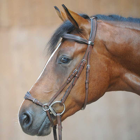 Adjustable Drop Noseband Bridle