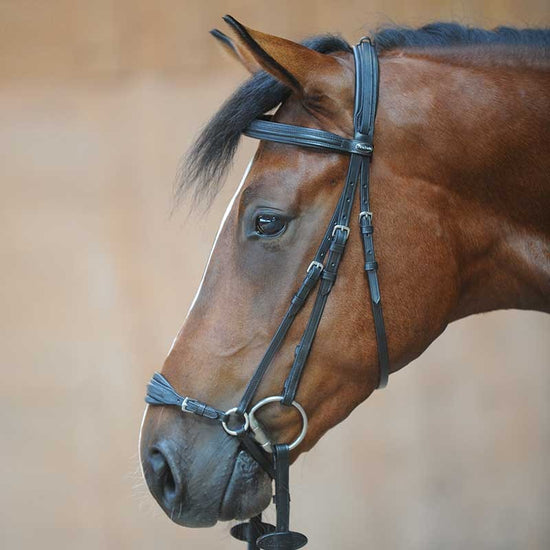Kavalkade Drop Noseband Bridle