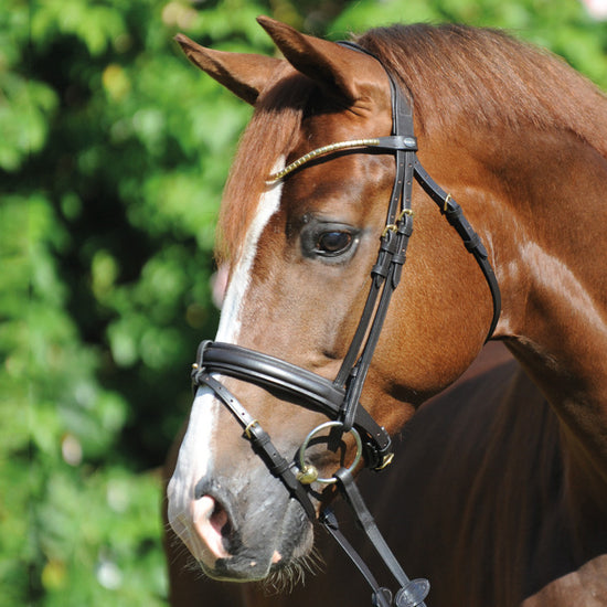 Kavalkade Bridle Clinchesse