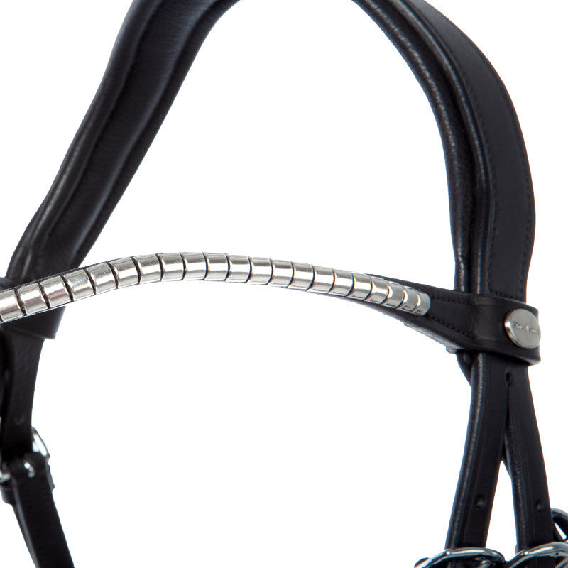 black and silver bridle