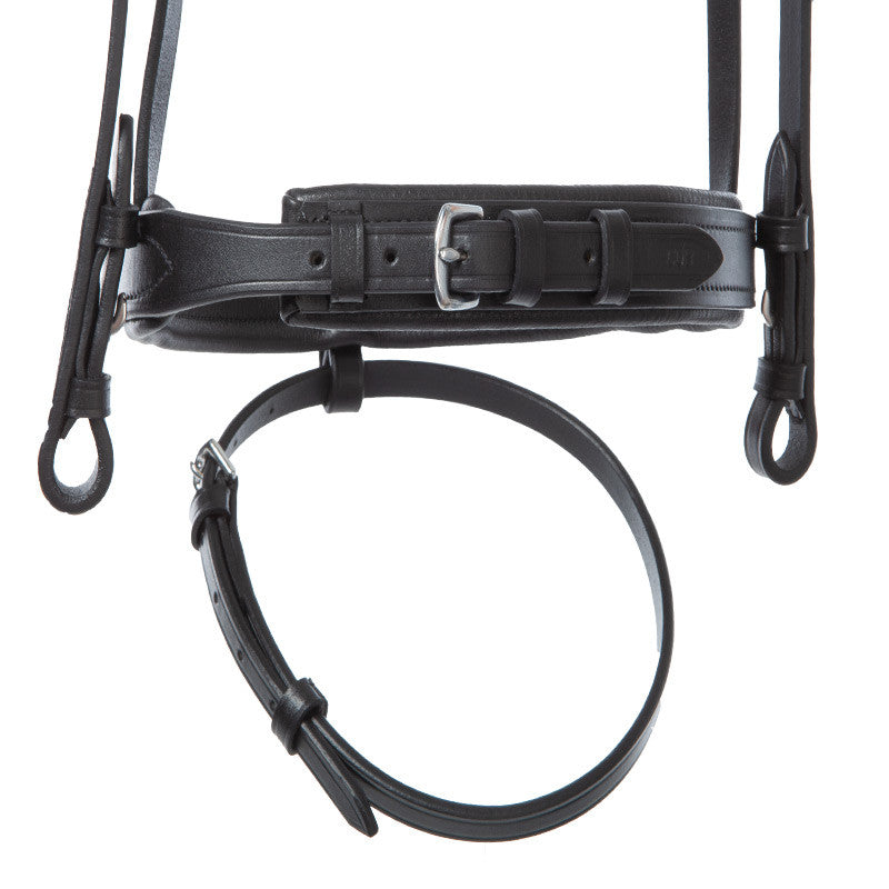 black bridle with silver fittings