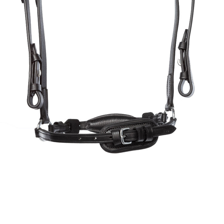 black bridle with silver fittings