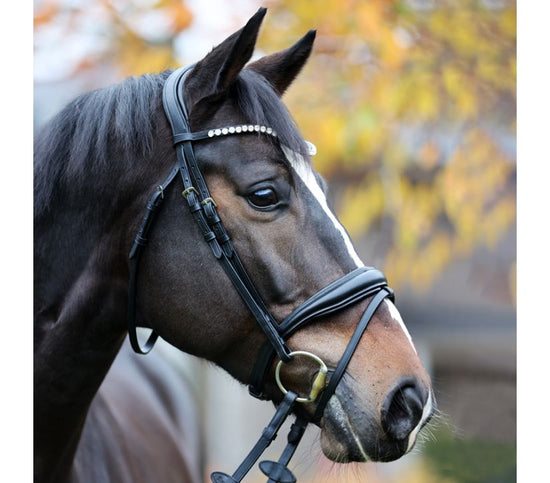 High quality cheap dressage bridle