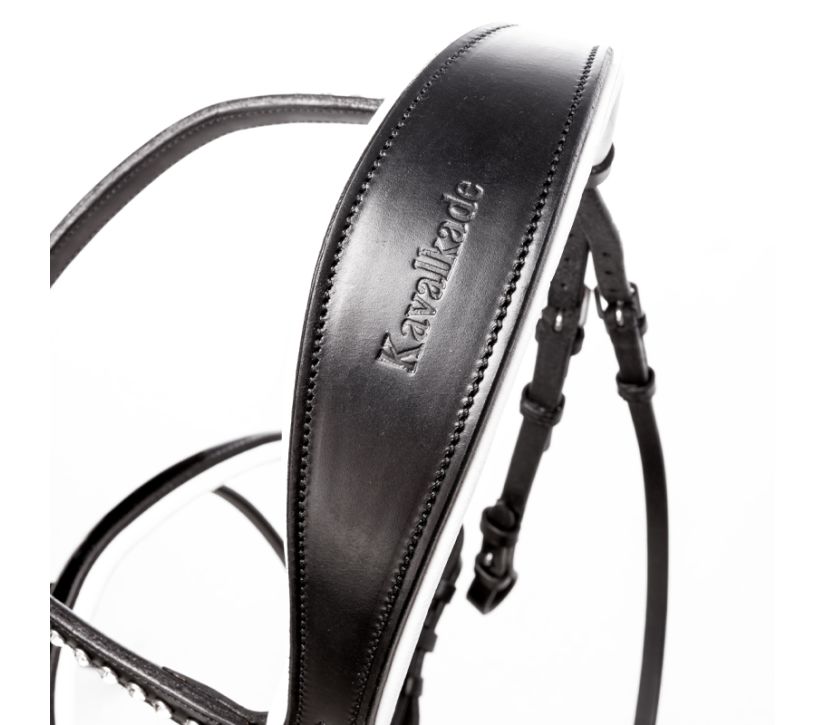 Bridle with curved browband