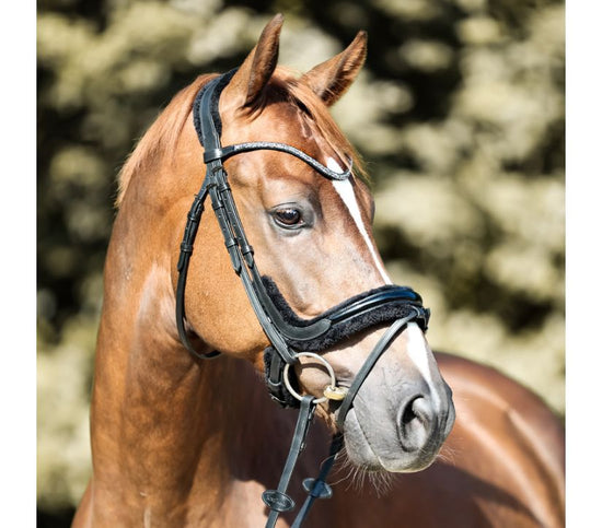 Bridle with sheepskin padding