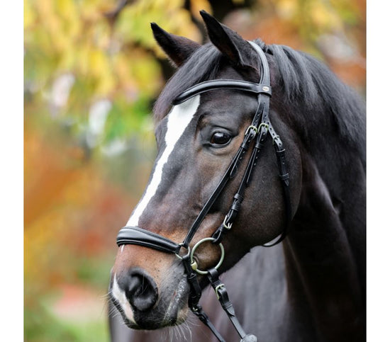 Kavalkade Drop Noseband Bridle Proline-Anna