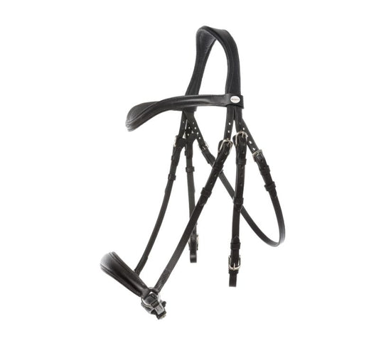 Bridle Proline-Anna