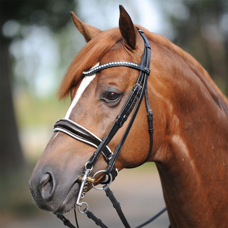 Double Bridle with patent noseband