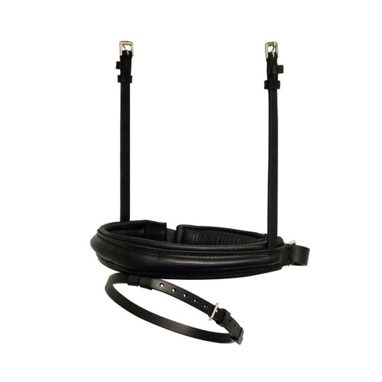 Special dressage noseband combined