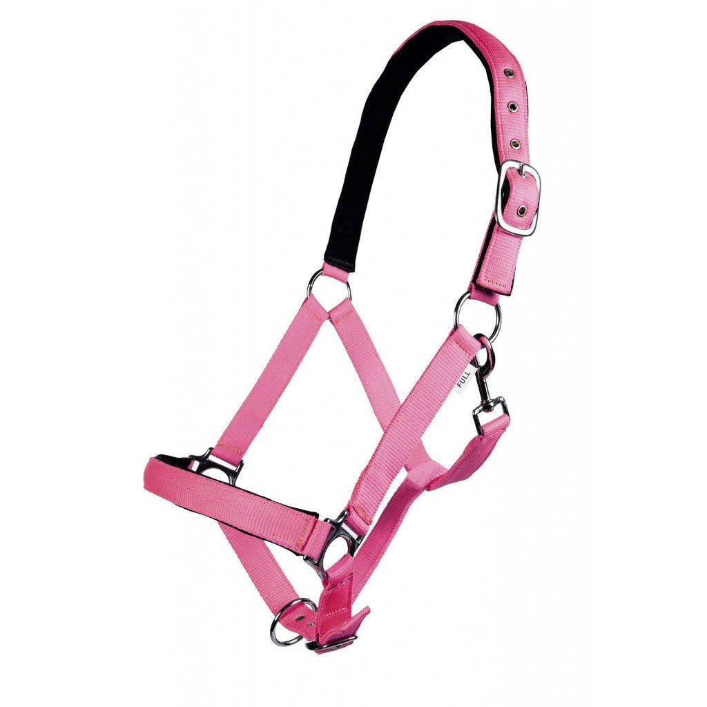 Pink head collar for horses
