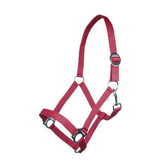 HKM budget head collar for horses