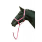 Head collar for shetland ponies