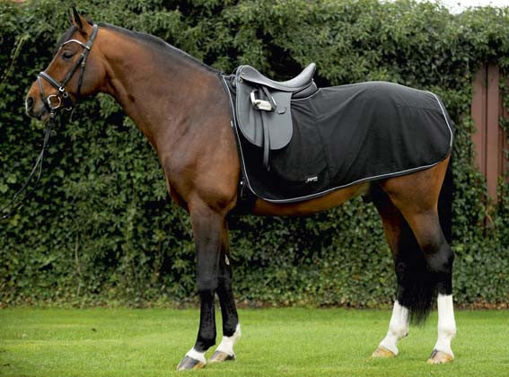 Exercise Rug for warming horses back