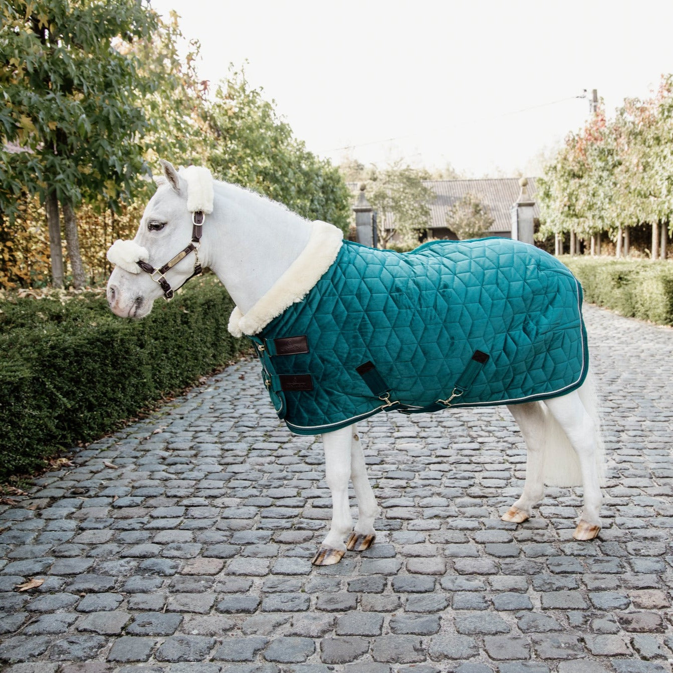 kentucky velvet pony show rug emerald