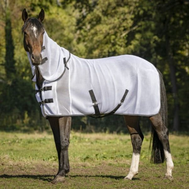 Turnout fly rug 