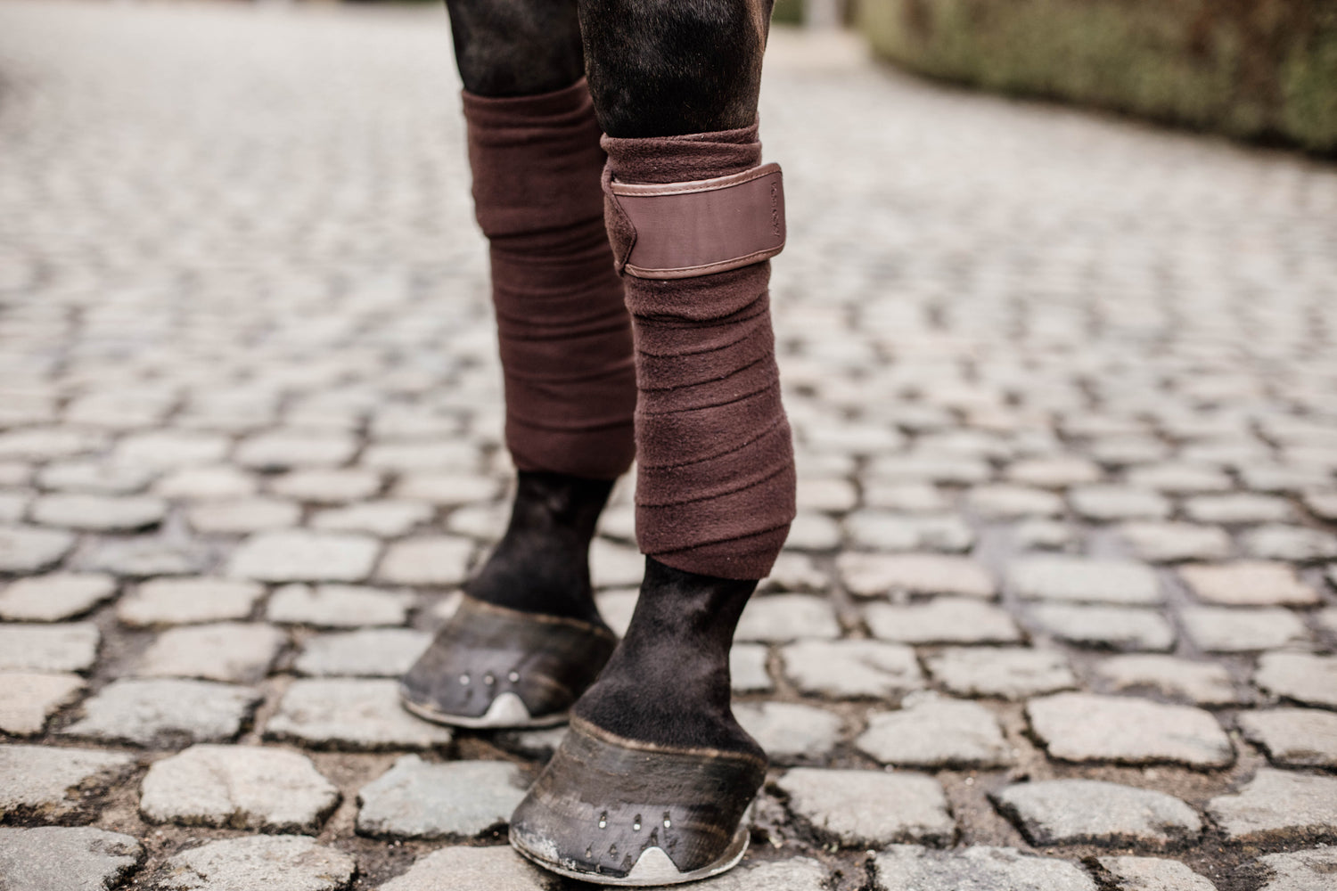 Brown bandages for horses