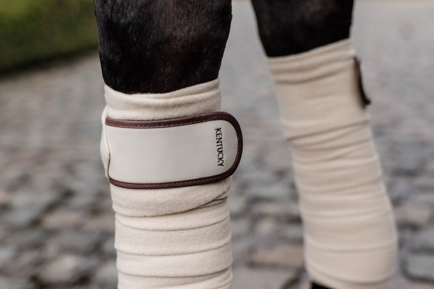 Beige bandages for matching Kentucky saddle blanket