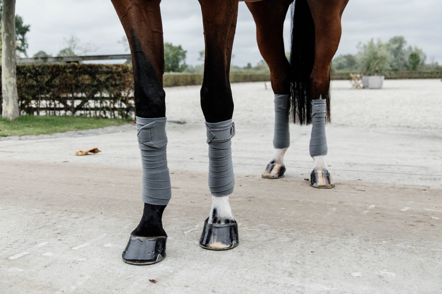 Grey bandages for horses