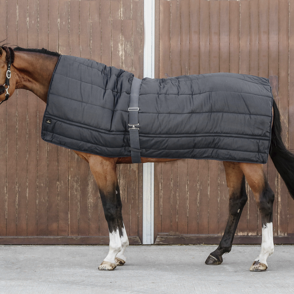 Duvet for horses