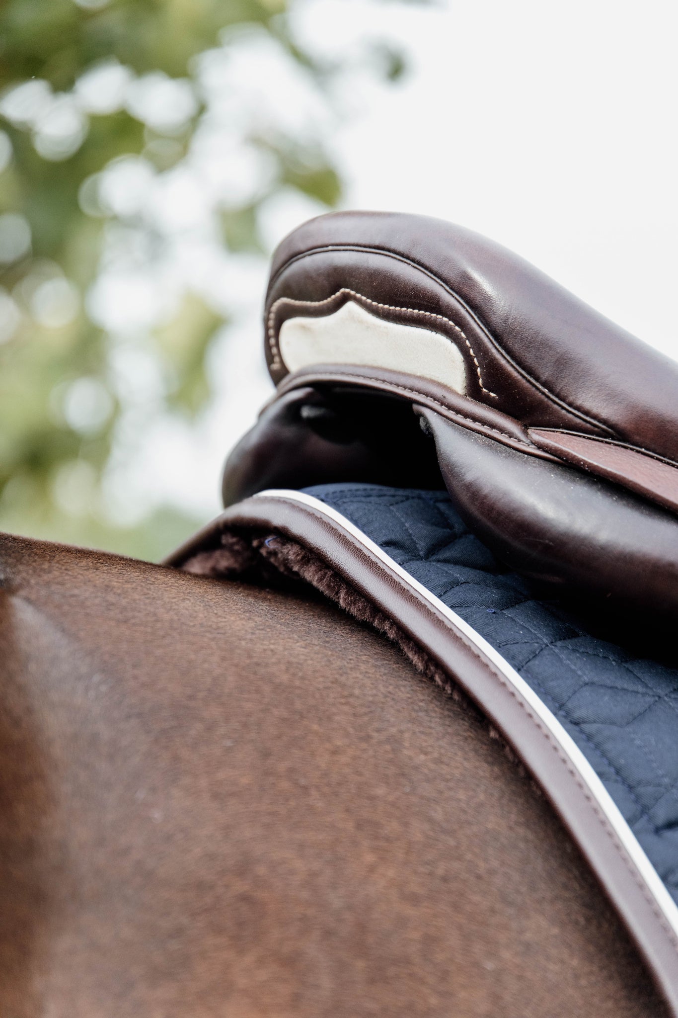 Saddle Blanket for sensitive horses