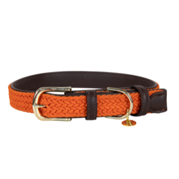 Orange collar for dogs