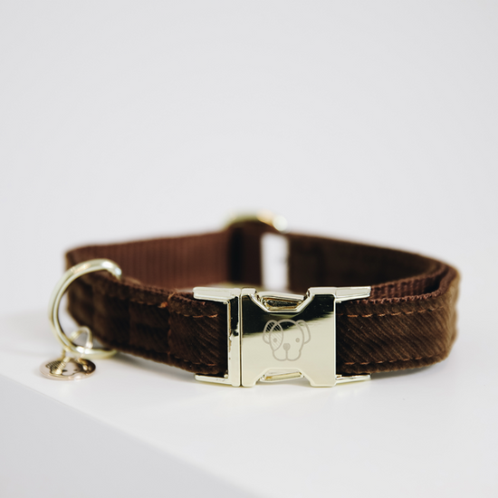 Classy dog collar in brown