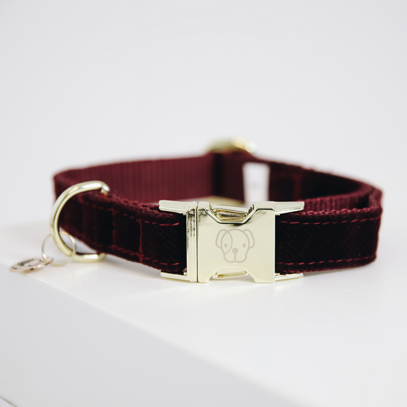 Corduroy bordeaux dog collar with golden details