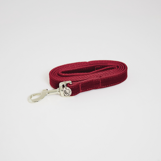 luxurious red dog leash