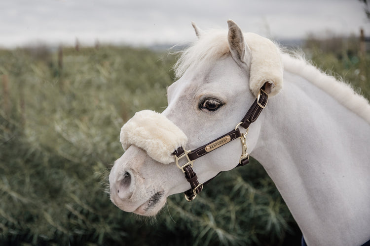 Sheepskin Halter for small pony