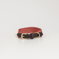 Terracotta brown dog collar with gold plates buckles