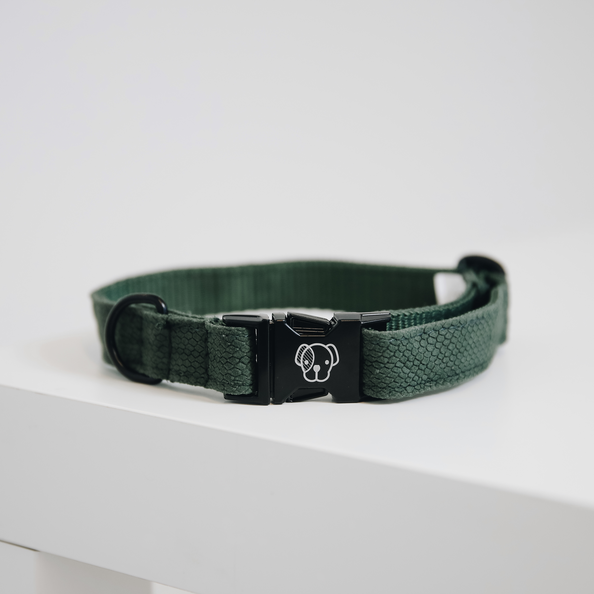 Fashionable dog collar in olive green