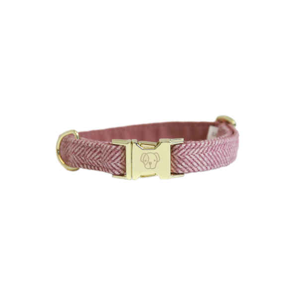 Pink dog collar with gold details and a snap clip
