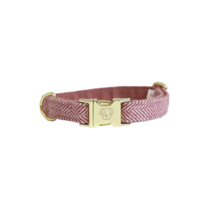 Pink dog collar with gold details and a snap clip