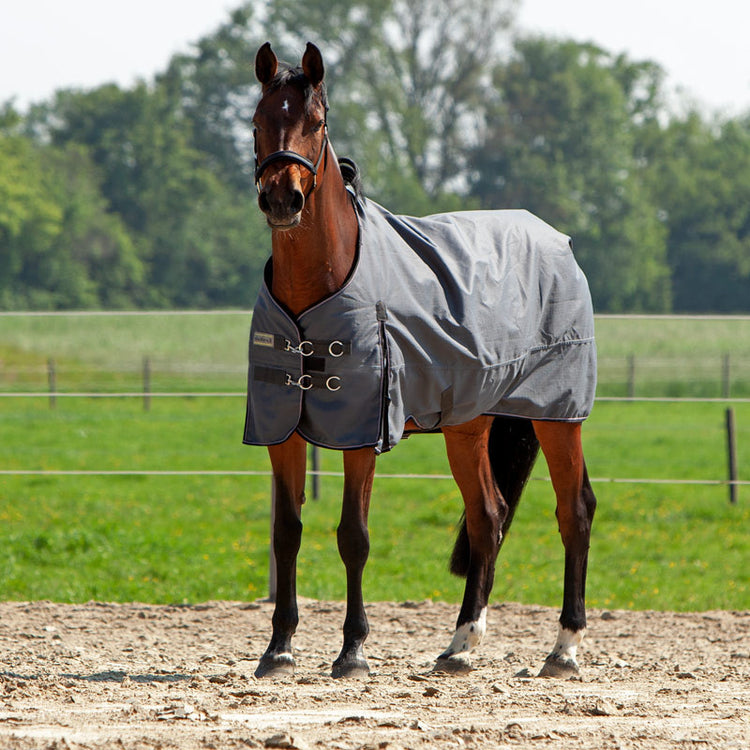 Lightweight outdoor rug for horses