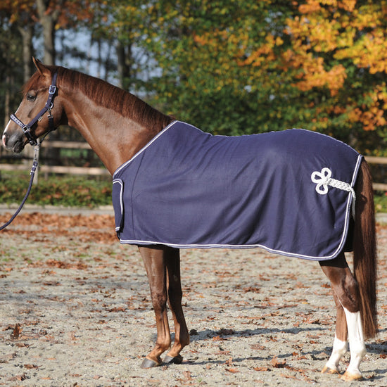 Kavalkade Cooler Rug with Chest Flap