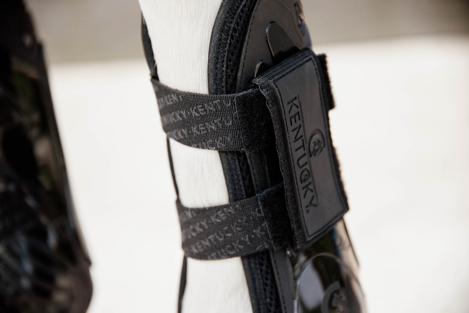 Kentucky Horsewear Tendon Boots Elastic
