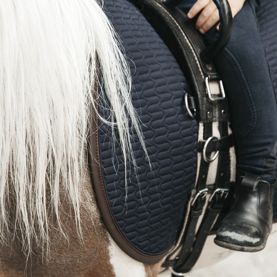 Shetland pony saddle pad 