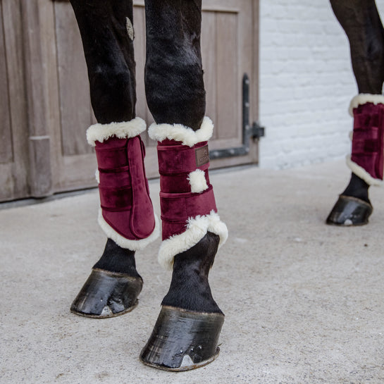 Bordeaux brushing boots for horses