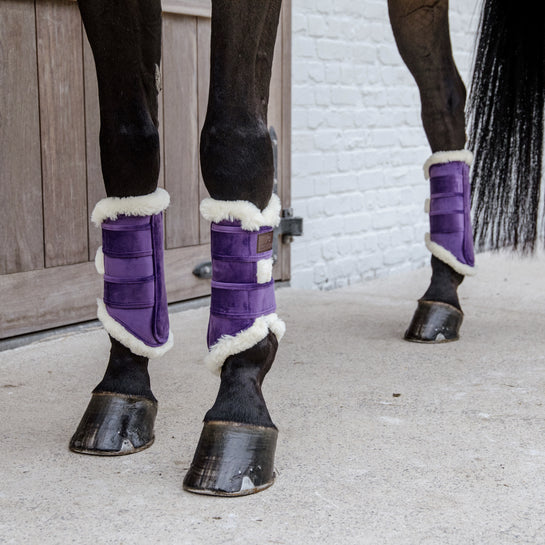 Purple boots for horses