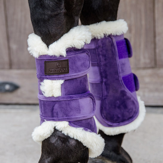 Purple brushing boots for horses