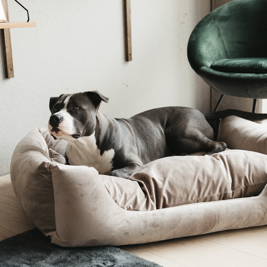 Dog Bed Velvet Beige