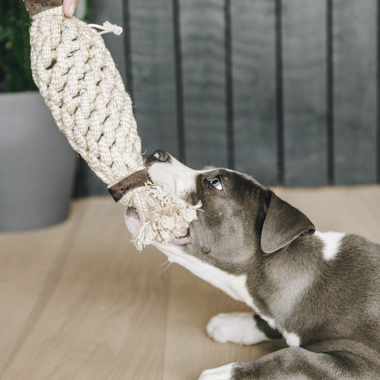 Dog Toy Cotton Rope Pineapple
