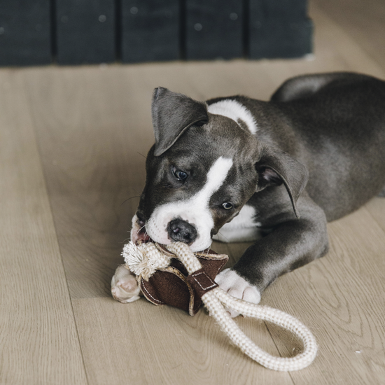 Quality rope toy for dogs