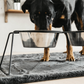 Kentucky Dogwear Dog Bowl Comfort Feeder Large