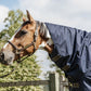 Combo turnout blanket for horses