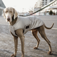 Dog Coat Reflective & Water Repellent with Belly Cover 150g